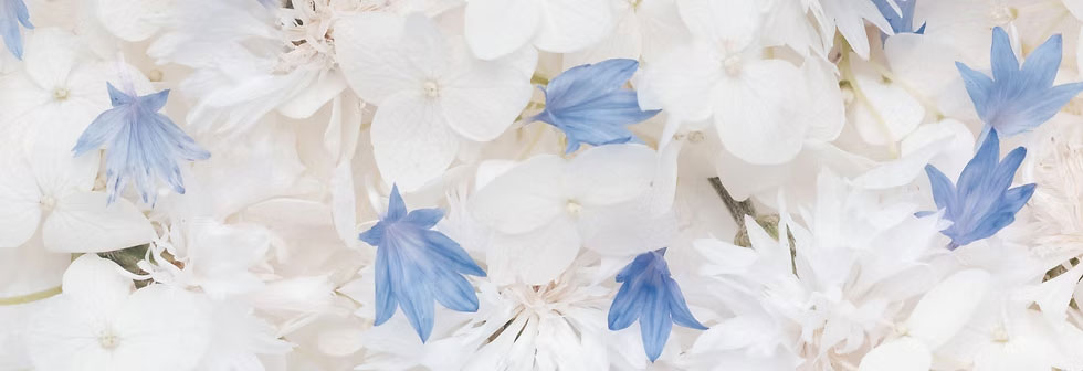 Imagem de flores azuis e brancas