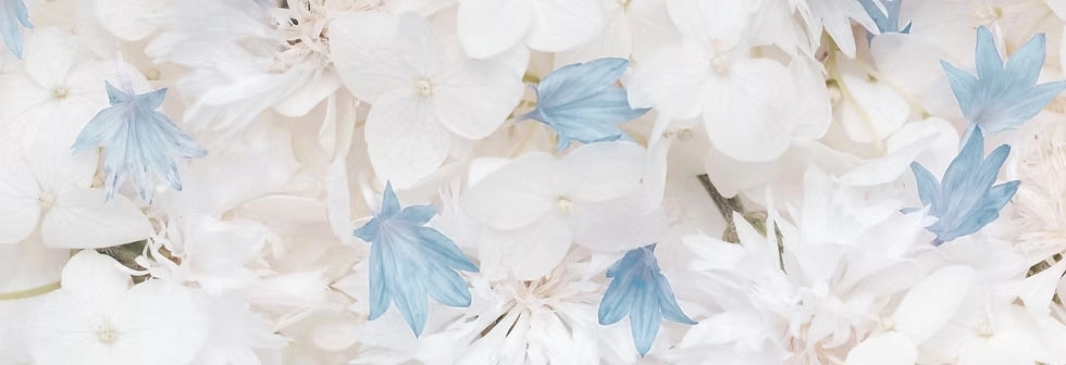 Imagem de flores azuis e brancas